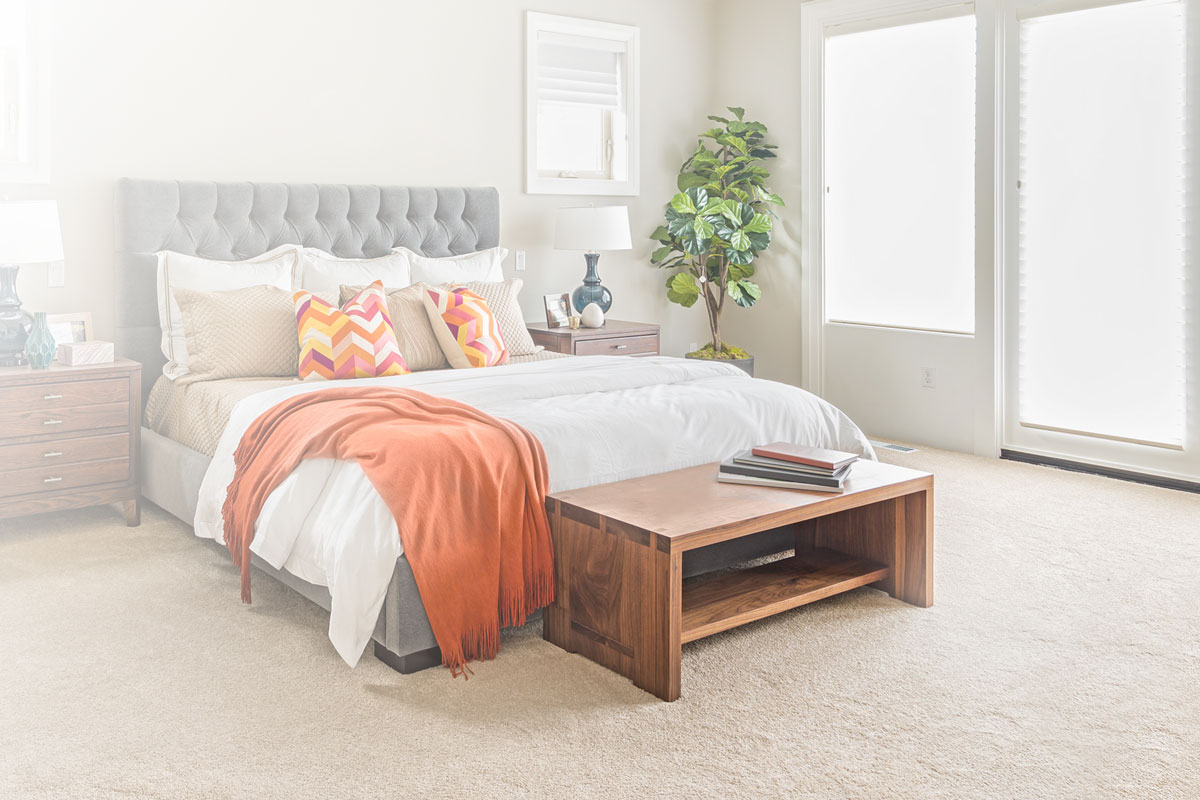 Best Vacuums for Pet Hair and Dander Vacuums for Dog and Cat Hair