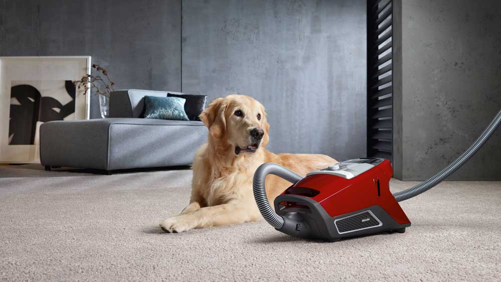 Red Miele Bagless Canister Vacuum at Stark's Vacuums