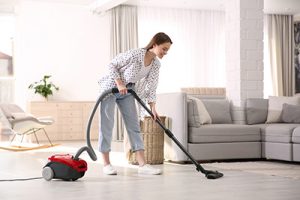 Embrace the New Year With a New Vacuum Cleaner by Stark's Vacuums in the Vancouver-Portland Metro area.
